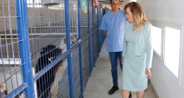 Cumhurbaşkanı Ersin Tatar’ın eşi Sibel Tatar, sokak hayvanlarını kısırlaştırma projesi kapsamında ziyaret ettiği veteriner kliniğinde yaptığı konuşmada vurguladı: