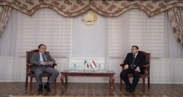 Meeting of the Deputy Minister with the Ambassador of Italy