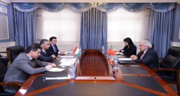Meeting of the First Deputy Minister of Foreign Affairs of the Republic of Tajikistan with the Special Envoy of Portugal
