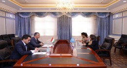 Meeting of the First Deputy Minister with the Assistant Secretary-General of the United Nations