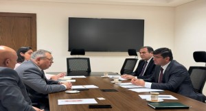 Meeting of the Ambassador with the Deputy Minister of Foreign Affairs of Egypt