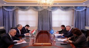 Meeting of the Minister of Foreign Affairs with the Head of the UNHCR National Office in Tajikistan