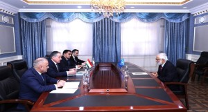 Meeting of the Minister of Foreign Affairs with the Resident Representative of the UNDP in Tajikistan