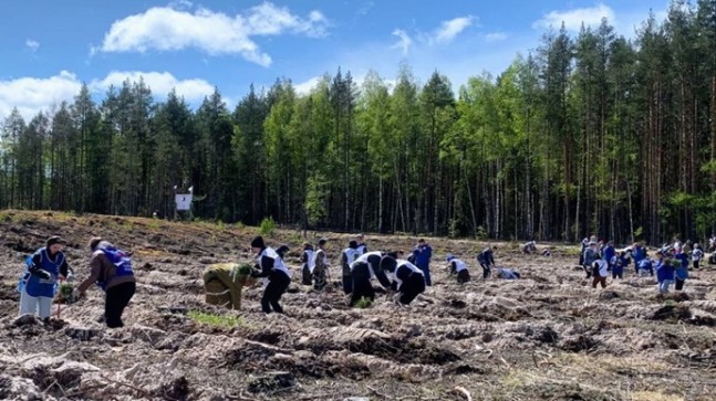 В Нижегородской области в рамках акции «Сад памяти» активисты «Единой России» высадили сосны