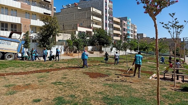 Eyyübiye Yeşillenmeye Devam Ediyor