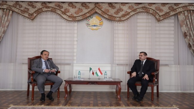 Meeting of the Deputy Minister with the Ambassador of Italy