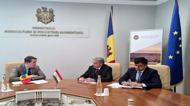 Встреча Посла Таджикистана с Генеральным секретарем Министерства сельского хозяйства и пищевой промышленности Молдовы