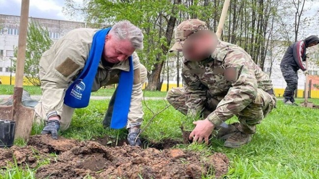 В Московской области при поддержке «Единой России» высадили аллею дубов в память о героях Великой Отечественной войны и СВО