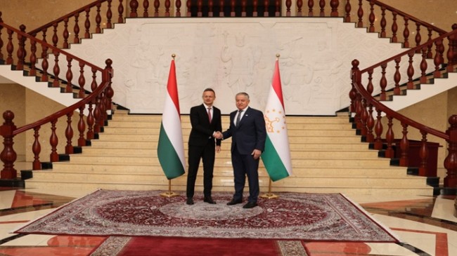 Meeting with the Minister of Foreign Affairs and Trade of Hungary