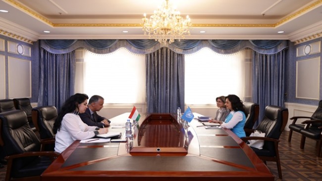 Meeting of the First Deputy Minister of Foreign Affairs with the Head of UN-Women Office in Tajikistan