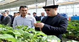 Президент Садыр Жапаров ознакомился с инновационной технологией выращивания тепличных овощных культур в Ысык-Атинском районе