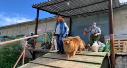 В Мурманской области активисты «Единой России» помогли приюту для животных
