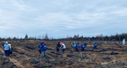 Нижегородские активисты «Единой России» приняли участие в акции «Сохраним лес»