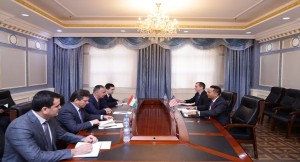 Meeting of the First Deputy Minister of Foreign Affairs with the Ambassador of the United States of America