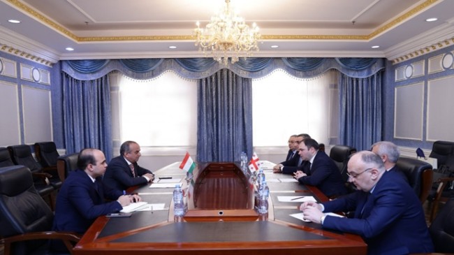 Meeting with the delegation of the Parliament of Georgia