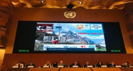 Participation and delivers a statement in the Regional Forum on Sustainable Development